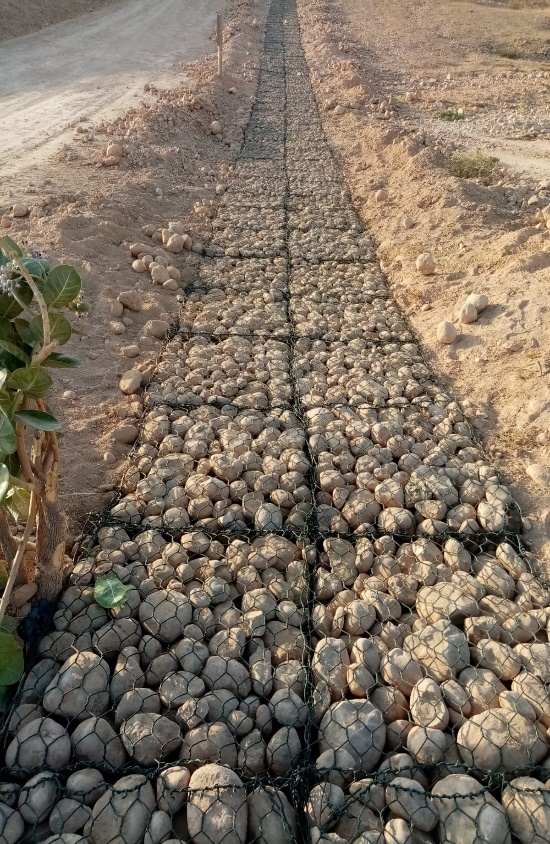 Macy&#039;s 10% Cash Back for Purchases Sitewide